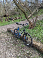 Nishiki Pueblo mountain bike large