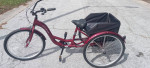 Brand New Schwinn mandarin Comfort three-wheel bicycle
