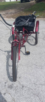 Brand New Schwinn mandarin Comfort three-wheel bicycle