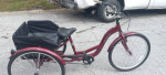 Brand New Schwinn mandarin Comfort three-wheel bicycle