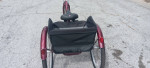 Brand New Schwinn mandarin Comfort three-wheel bicycle