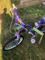Two Kids Bike