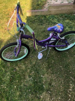 Two Kids Bike