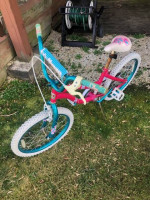 Two Kids Bike