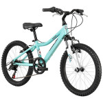 20" DIAMONDBACK Lustre 20 - 6 Speed Girls Mountain bike (Good)