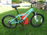 20" DIAMONDBACK Lustre 20 - 6 Speed Girls Mountain bike (Good)