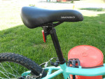 20" DIAMONDBACK Lustre 20 - 6 Speed Girls Mountain bike (Good)