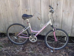 DiamondBack, Mongoose
