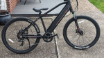 8-Speed pedal assist bicycle