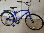 Single Speed Cruiser