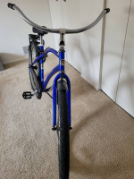 Single Speed Cruiser