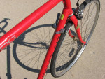 "mens schwinn paramount road bike
