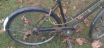 Phillips by Raleigh Cruiser bicycle
