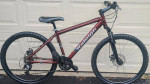 Raleigh MTB-Disc Brakes-24 speed Shimano-Alivio-Recently Tuned