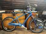 Trek Pure Deluxe comfort cruiser-Full Tune Up-Ready To Ride!!