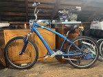 Trek Pure Deluxe comfort cruiser-Full Tune Up-Ready To Ride!!