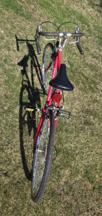 Vintage Compition 10 Speed Bicycle