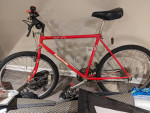 Vintage 18-speed 20" Panasonic Mountain Cat 3500 mtb