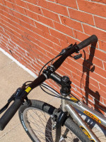Giant Iguana SE Medium Gravel Hybrid Bicycle
