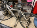 cannondale