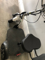 Euro trike electric scooter