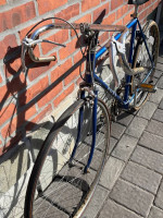 Vintage Men's 10 speed  Ross Adventurer