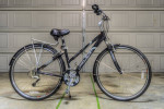 Fuji Crosstown 1.0