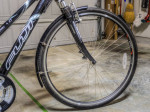 Fuji Crosstown 1.0