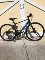 Giant Flat Bar Road Bike