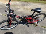 Honda Racing Trail Winder Woody Woodpecker