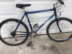 Trek Mountain Bike