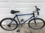 Trek Mountain Bike