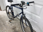 Trek Mountain Bike