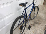 Trek Mountain Bike