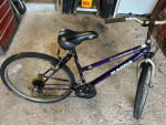 1 -18 IN GIRLS MT BIKE 1- 22 IN 12 SPD