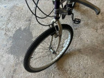 1 -18 IN GIRLS MT BIKE 1- 22 IN 12 SPD