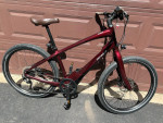 Specialized E Bike