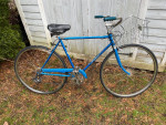 Schwinn Collegiate 5 Speed
