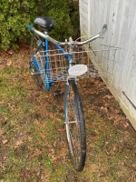 Schwinn Collegiate 5 Speed