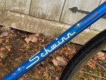 Schwinn Collegiate 5 Speed