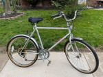 Quentin Cruiser Bike