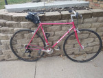 Bianchi Sport SX flat bar road bike