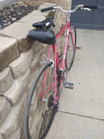 Bianchi Sport SX flat bar road bike