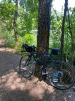 2019 Cannondale CAAD Optimo Claris 51