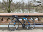 2019 Cannondale CAAD Optimo Claris 51