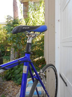 Fuji Fixie