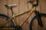 Schwinn Homegrown BMX Bike
