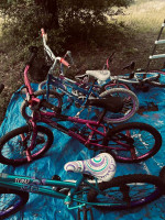 Lots of girls bikes