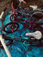 Lots of girls bikes