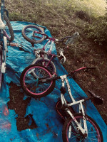 Lots of girls bikes